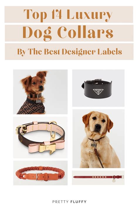 prada dog harness|best luxury dog collars.